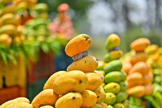 Close-Up of Ripe Yellow Mangoes Stacked at a Vibrant South Asian Street Fruit Market in Summer