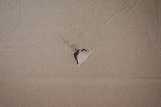 Torn cardboard texture background with small hole and damage mark.