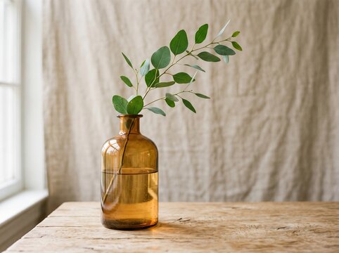 Minimalist green leaf branch in amber glass vase on wooden table by window with natural light