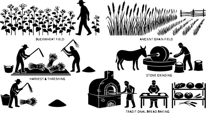 Ancient Grain Farming and Bread Baking Silhouette Set &ndash; Buckwheat Field, Harvest, Threshing, Stone Grinding, Traditional Oven Icons
