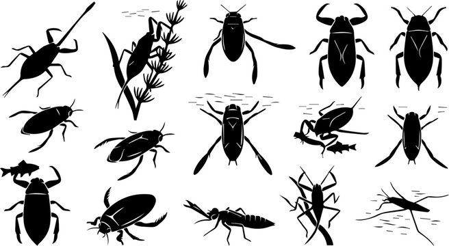 Insect Silhouette Collection &ndash; Beetle, Cricket, Grasshopper, Bug Icon Set, Black Entomology Icons