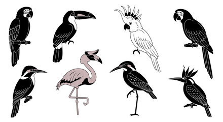 Tropical Bird Silhouette Icon Set © RamaHima
