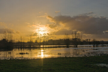 Fototapeta premium Bare tree silhouettes against an orange sunset glow reflecting in the water in the wetlands of Bourgoyen nature reserve, Ghent, Flanders, Belgium 