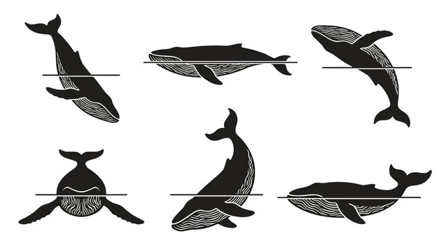 Stylized Black Whales with Details and Vertical Lines - Ocean Conservation Motif