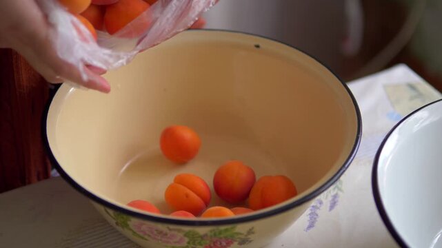 fresh ripe apricots being poured from a plastic bag into a vintage enamelware bowl. Concept of healthy eating, fruit preparation, kitchen cooking, and fresh harvest
