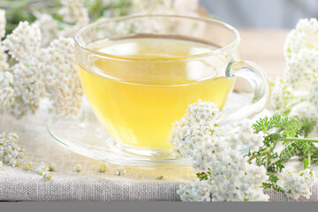 Yarrow flower tea in glass cup with plant, naturopathy and natural medicine concept © spiegelka