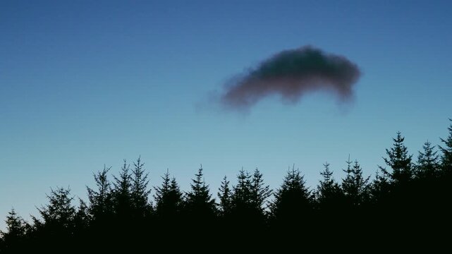 Silhouette of pine forest under single dark cloud