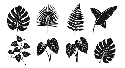 Tropical Leaf Silhouette Icon Set © Bagaskara