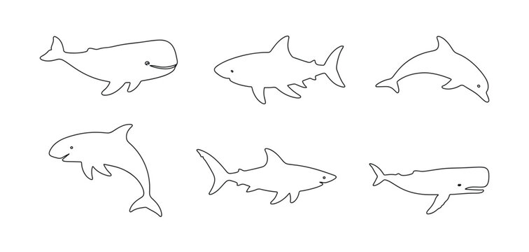 Collection of hand drawn sea animals including whales sharks and dolphins in black outline style