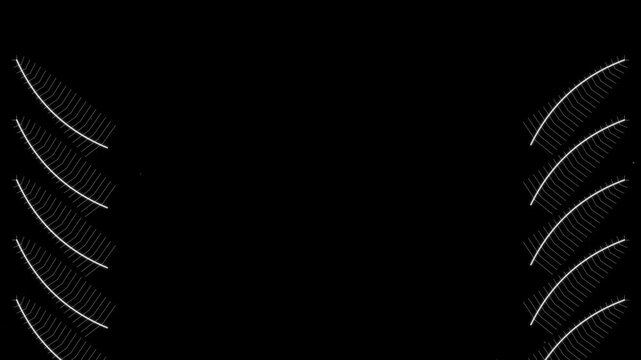 White curved lines animating on a black background