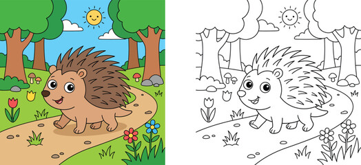 Cute cartoon hedgehog in the forest coloring page with colored example vector illustration for kids book activity © MSTA