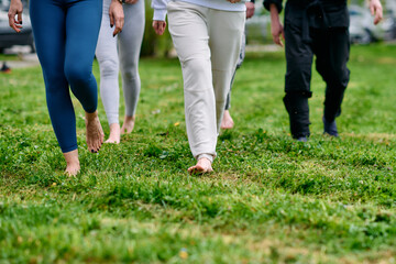 Fototapeta premium Group Of Friends Walking Barefoot In Park On Grass During Outdoor Wellness Activity