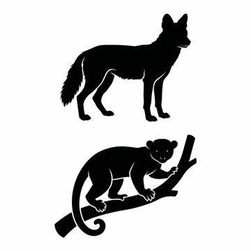 Silhouette set of a coyote and a kinkajou on a tree branch with kinkajou