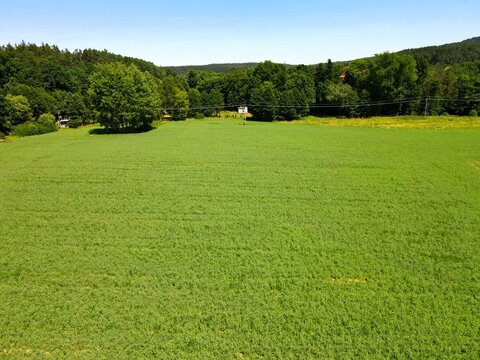 Land for sale and investment in aerial view. Include green field, agriculture farm. That real estate or property. Plot of land lot