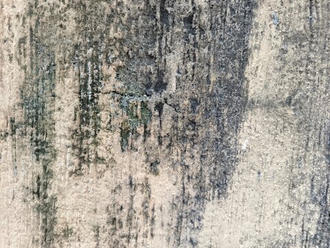 An old weathered concrete wall with a rough and porous texture. A large portion of the surface is covered in dark mold stains and patches of moss.