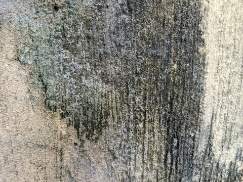 An old weathered concrete wall with a rough and porous texture. A large portion of the surface is covered in dark mold stains and patches of moss.