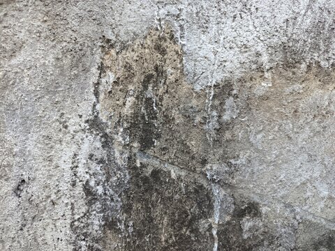 An old weathered concrete wall with a rough and porous texture. A large portion of the surface is covered in dark mold stains and patches of moss.