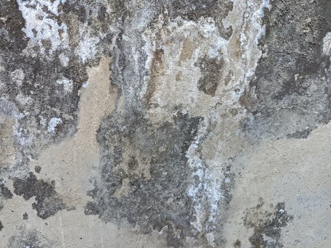 An old weathered concrete wall with a rough and porous texture. A large portion of the surface is covered in dark mold stains and patches of moss.