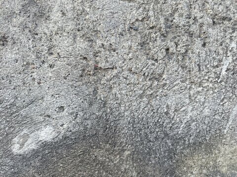An old weathered concrete wall with a rough and porous texture. A large portion of the surface is covered in dark mold stains and patches of moss.