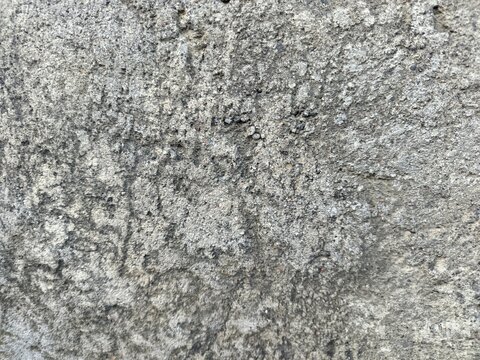 An old weathered concrete wall with a rough and porous texture. A large portion of the surface is covered in dark mold stains and patches of moss.