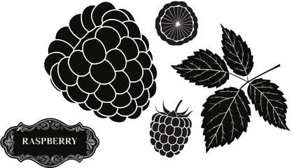 Very beautiful black-and-white engraved vector illustration featuring fresh RASPBERRIES, a sliced berry section, leaves, and a decorative botanical label reading "RASPBERRY", rendered in refined engra © williamnoah