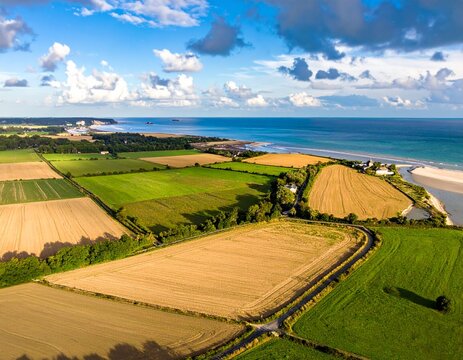 Green and gold fields near sea