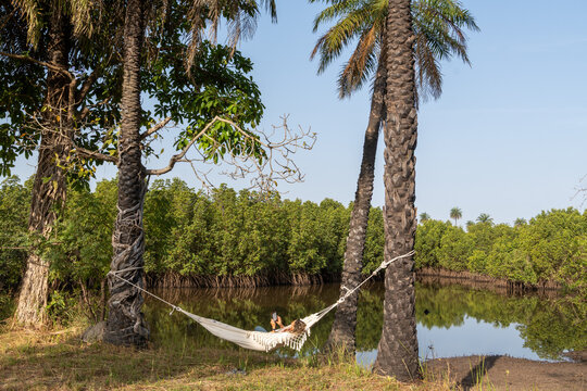 Hammock strung between palm trees by the river, The Gambia