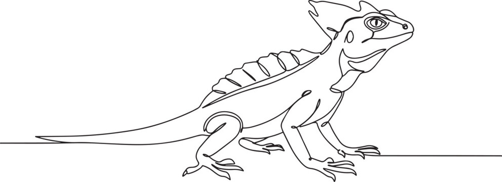 Detailed line drawing of a basilisk lizard in a side profile pose, showcasing its features.