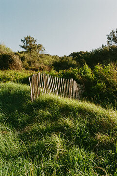 Wooden fence on grassy hill near trees in bright daylight
