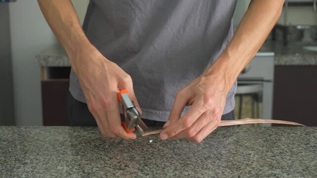 Close up man cutting palm leaf with garden scissors with clear sound.