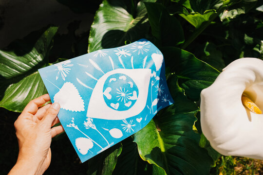 Blue Cyanotype Print drying on plants in garden. 