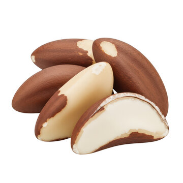 A close-up view of several brazil nuts in their shells and out of their shells