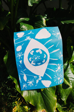 Blue Cyanotype Print drying on plants in garden. 
