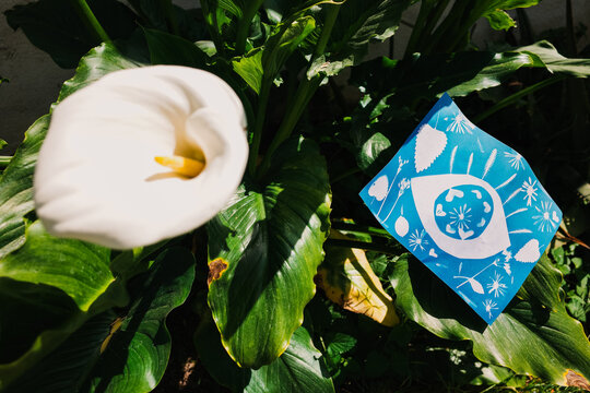 Blue Cyanotype Print drying on plants in garden. 