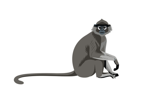 Realistic illustration of a grey langur monkey sitting on the ground with a long tail and distinctive dark face markings.