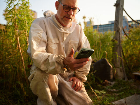Beekeeper checks phone while tending to his urban beehives
