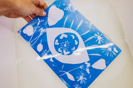 Hand Holding Cyanotype Print Over Sink