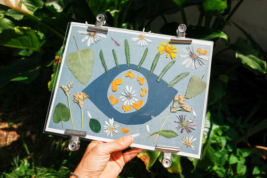 Colorful Pressed Flowers in Sunlight. Cyanotype art.