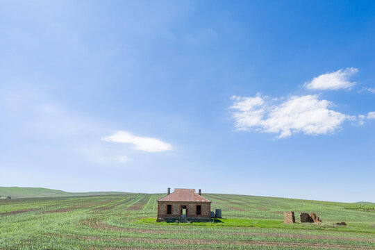 Old ruined settlers hut in a green paddock. Burra. South Australia.