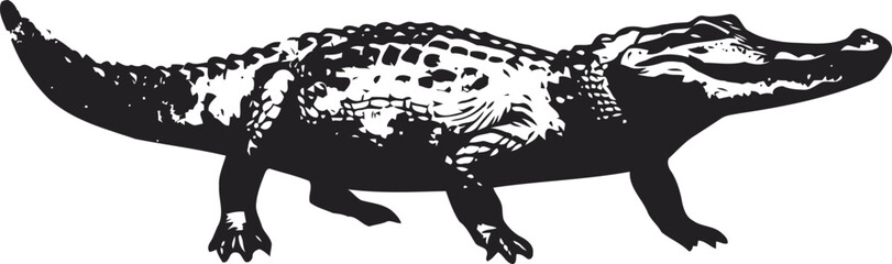 Fototapeta premium American alligator illustration in black and white detailed engraving isolated on white