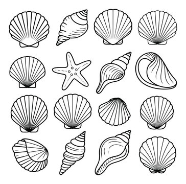 Sea Shells and Starfish Vector Illustration