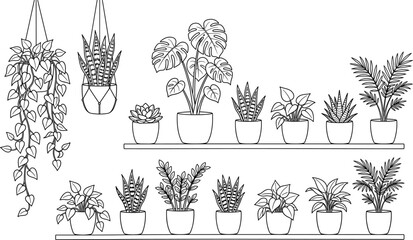 Hand Drawn Indoor Houseplants Collection on Shelves and Hanging Pots, Botanical Line Art Illustration for Home Decor © MdShahadat