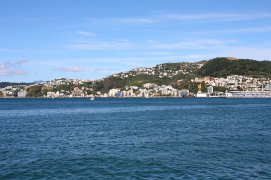 Wellington city, New Zealand. City skyline with Roseneath district and Mount Victoria.