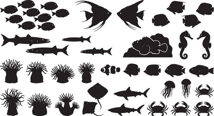 Diverse Marine Life Silhouettes Collection: Tropical Fish, Sharks, Seahorses, Jellyfish, Crabs, Anemones, and Coral Reef Elements for Aquatic Design © Rashidul
