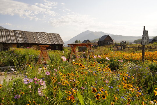 Hemu Village, Altai Mountains, Northern Xinjiang, China. Traditional Tuva‑style wooden log cabins, wildflower‑covered alpine meadow, pastoral mountain‑village natural travel landscape