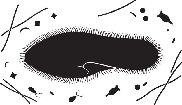Microscopic Organism Vector Art, Single Cell Life Form Illustration, Protozoa Scientific Diagram, Biological Cell Study, Ciliate Microbe Graphic
