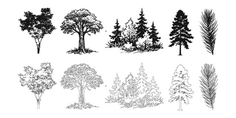 Hand drawn trees isolated sketch garden trees. Hand drawn deciduous and coniferous trees isolated on white background for landscape, Vector illustration. © skilleddesigner90