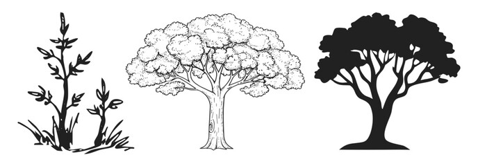 Hand drawn trees isolated sketch garden trees. Hand drawn deciduous and coniferous trees isolated on white background for landscape, Vector illustration. © skilleddesigner90