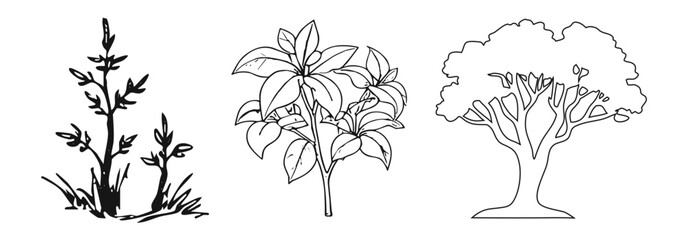 Hand drawn trees isolated sketch garden trees. Hand drawn deciduous and coniferous trees isolated on white background for landscape, Vector illustration. © skilleddesigner90