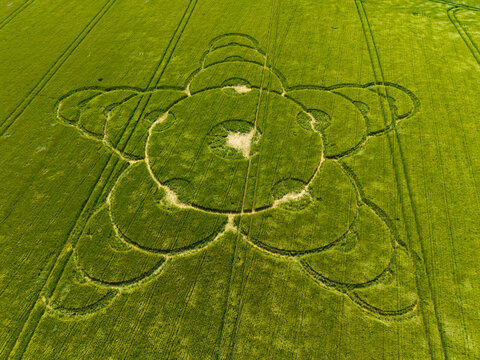 Bruton, Somerset, UK, May 27, 2026; Aerial view of a mysterious, geometric formation in a barley field near King Alfred's Tower, Jack's Castle Plantation, Somerset, England, UK; 8 May 2026